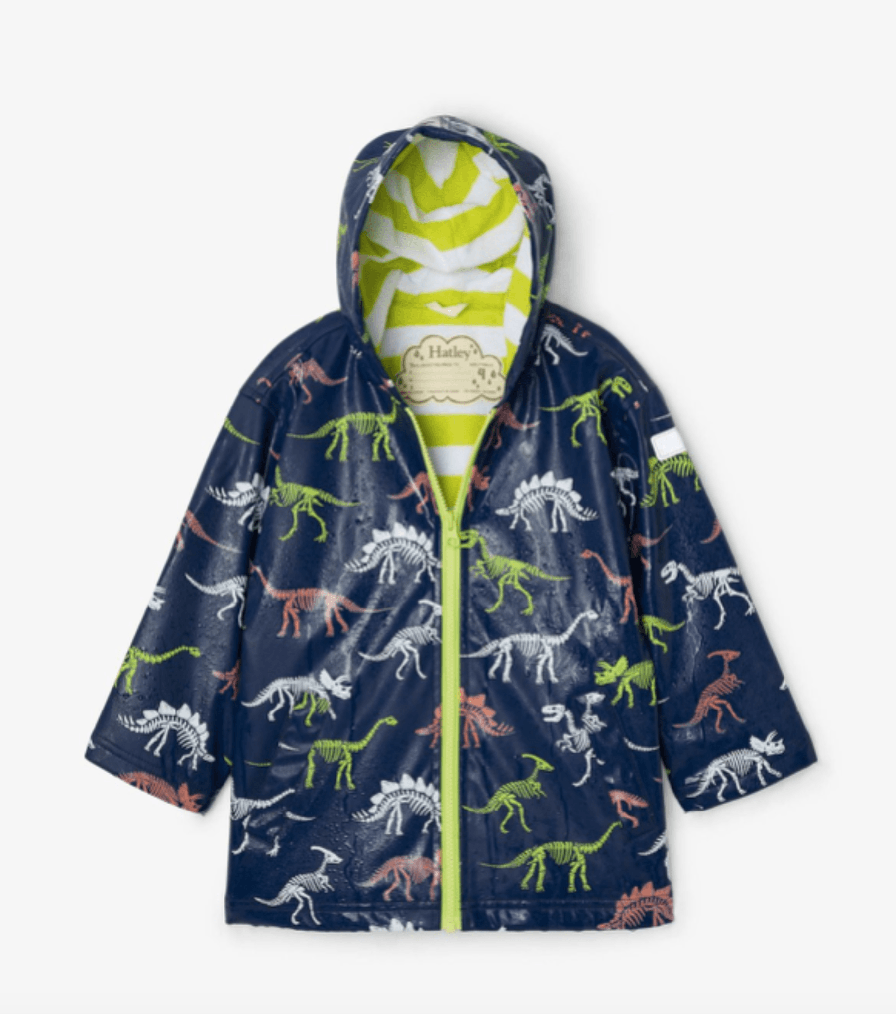 Hatley Boys Dino Fossils Color Changing Rain Jacket HONEYPIEKIDS