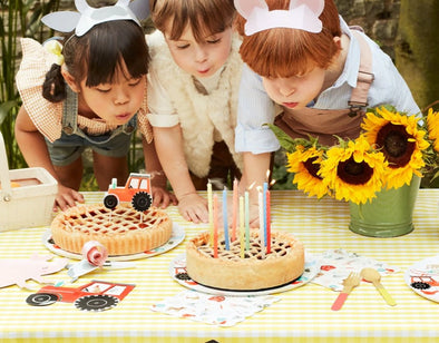 BIRTHDAY CLOTHING AND SUPPLIES | HONEYPIEKIDS | Kids Boutique Clothing and Gifts