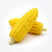 Corn on the Cob Squishy Fidget Toy | HONEYPIEKIDS