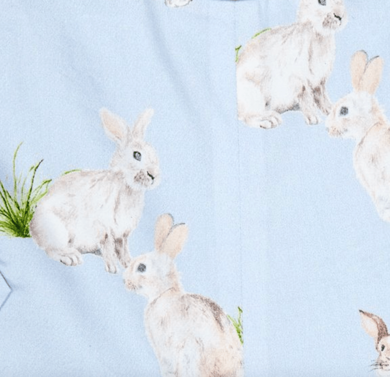 Bella & Emma Baby Boys Blue Bunny Shorts Overalls | HONEYPIEKIDS 