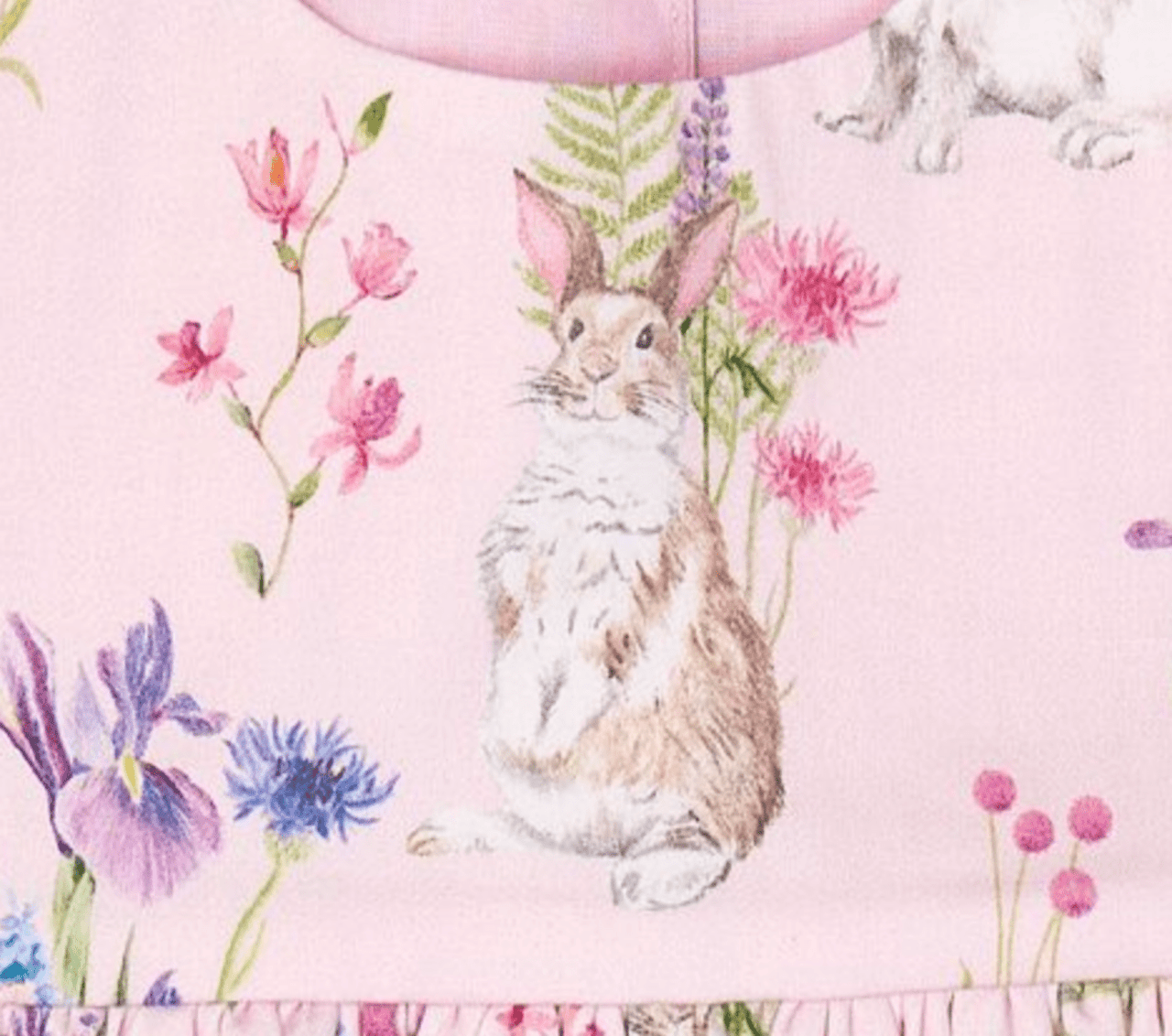 Bella & Emma Emily Spring Baby Dress | HONEYPIEKIDS 
