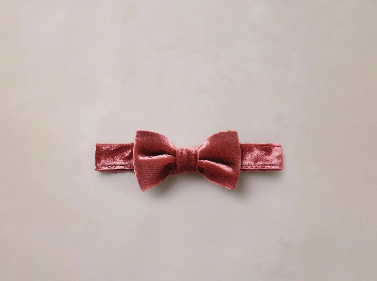 Noralee Boys Bow Tie - Ruby | HONEYPIEKIDS