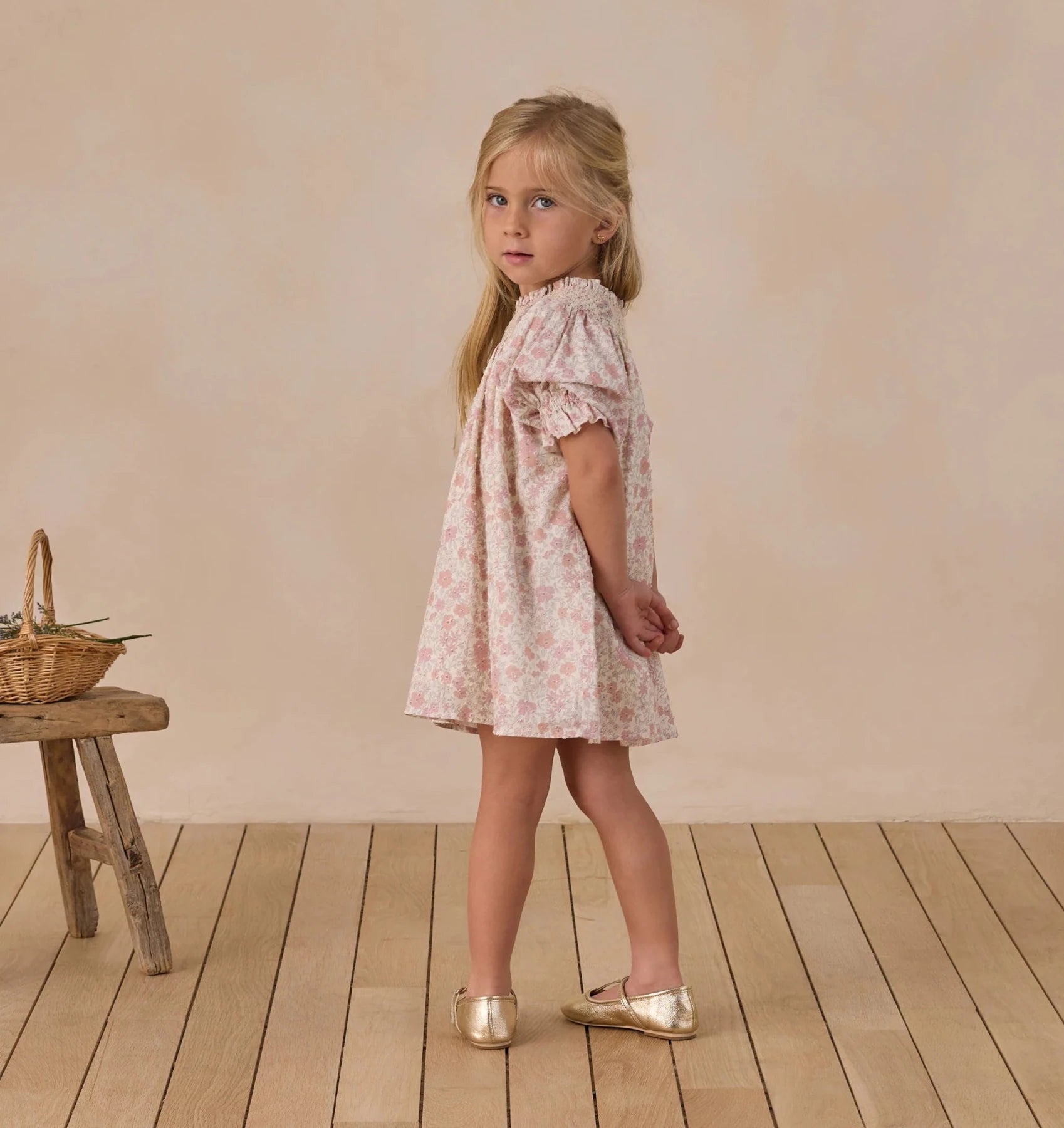 noralee Maddie Dress in Pastel Garden, Pink, 12M for Kids