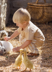 Quincy Mae Boys Henry Pants - Summer Stripe | HONEYPIEKIDS.COM