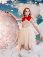 Tutu Du Monde Girls Holiday Gold Radiance Tutu Dress | HONEYPIEKIDS 