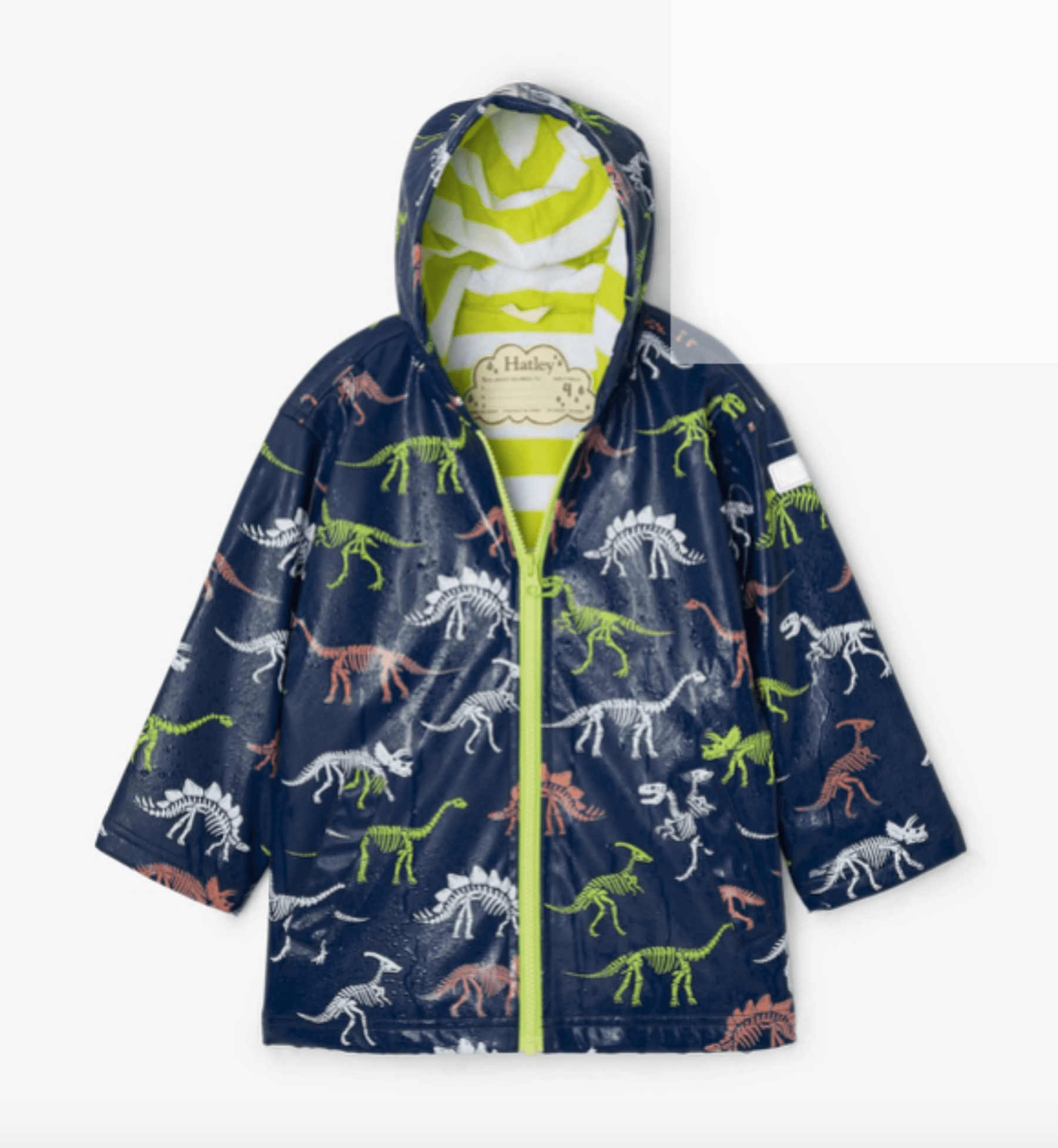 Hatley Boys Dino Fossils Color Changing Rain Jacket HONEYPIEKIDS