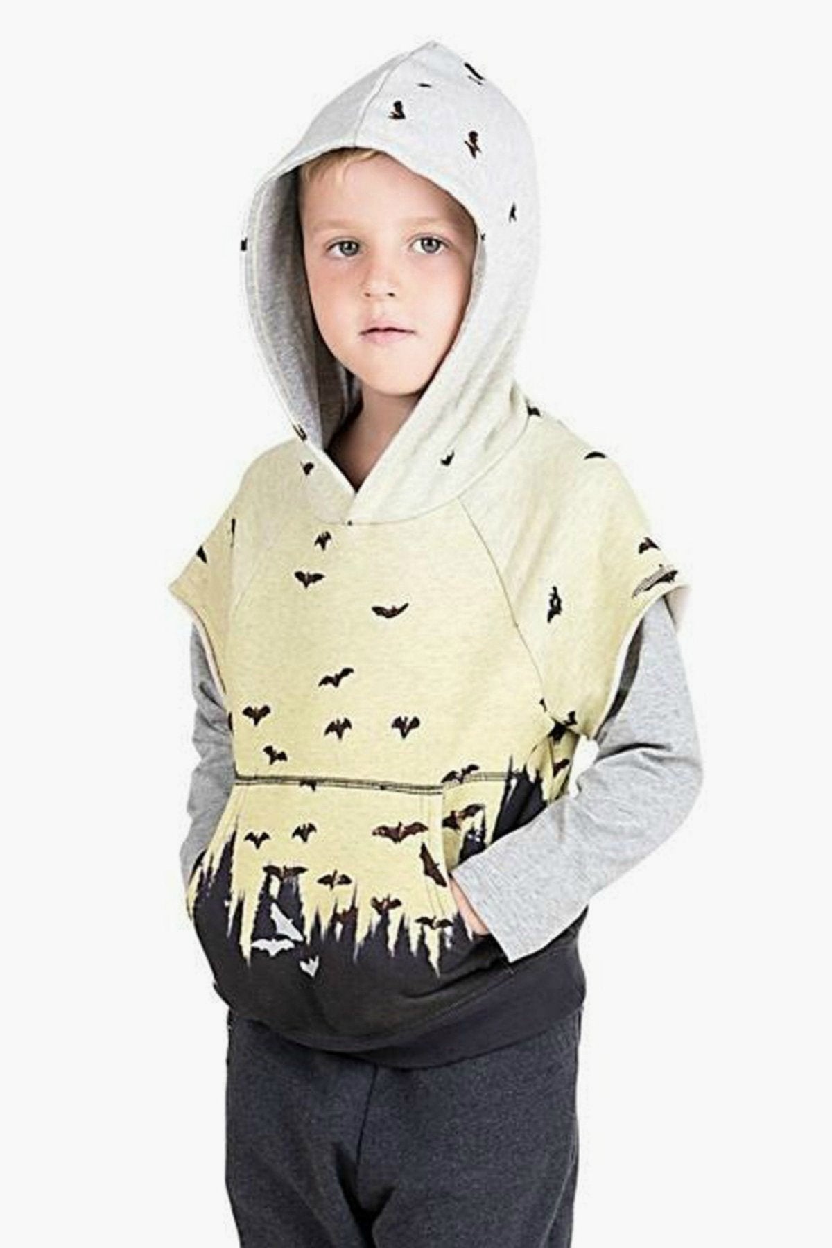 Paper Wings Dusk Flight Boys Hoodie | HONEYPIEKIDS 