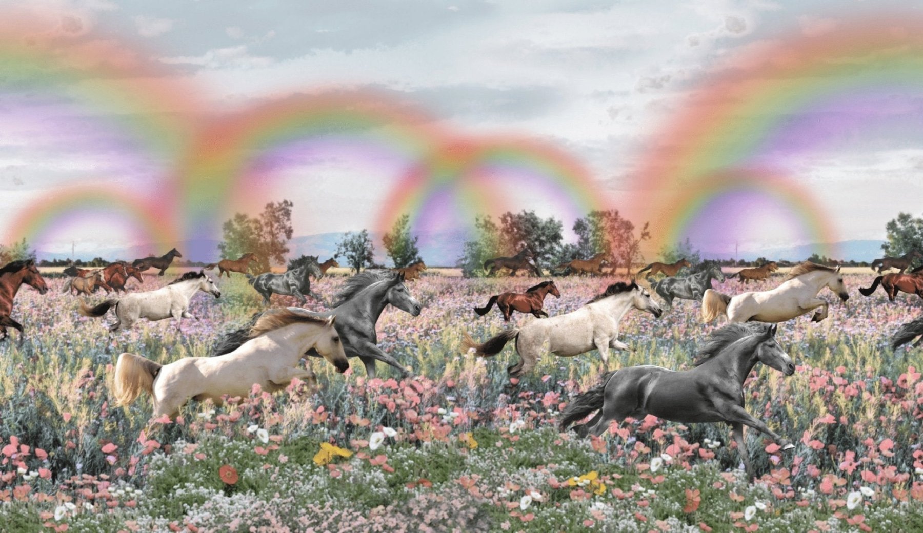 Paper Wings Rainbow Horses Girls Tee Dress | HONEYPIEKIDS 