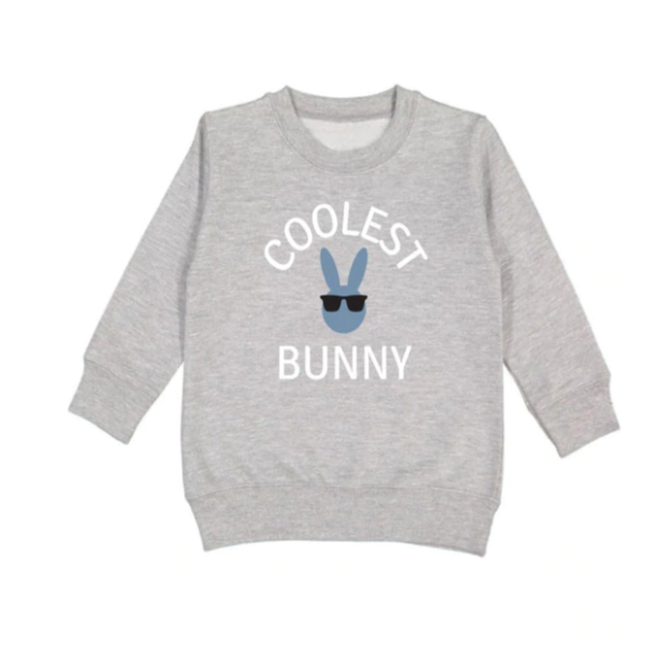 Sweet Wink Toddler To Youth Boys Grey COOLEST BUNNY Sweatshirt | HONEYPIEKIDS 